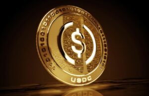 usd coin il token ancorato al dollaro