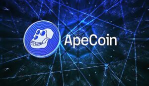 apecoin token il coin per il fai da te