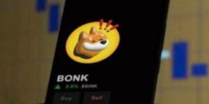 Crypto Bonk: come sono nati e chi li ha creati